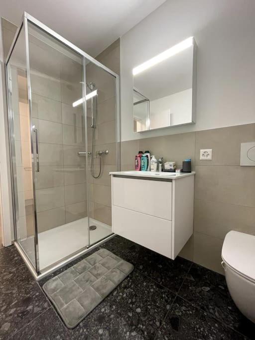 Five Stars Comfort Apartment Lugano Near The Lake Luaran gambar