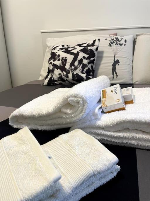 Five Stars Comfort Apartment Lugano Near The Lake Luaran gambar