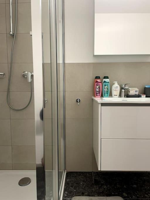 Five Stars Comfort Apartment Lugano Near The Lake Luaran gambar