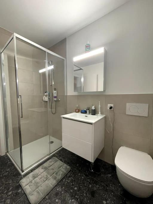 Five Stars Comfort Apartment Lugano Near The Lake Luaran gambar